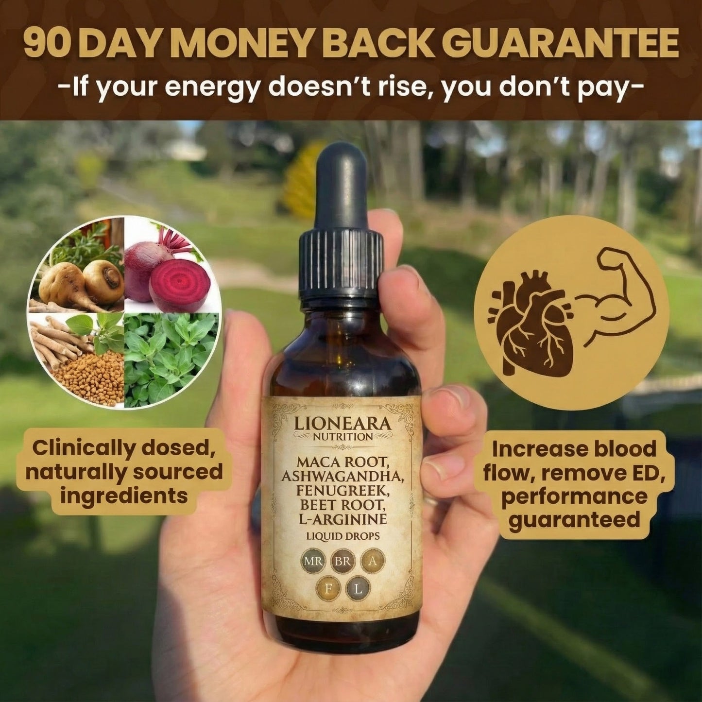 Erectile Dysfunction Restoration Blend Lioneara